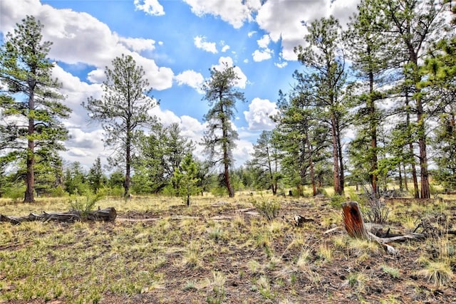 490 Teller St, Lake George, CO 80827 - view of nature