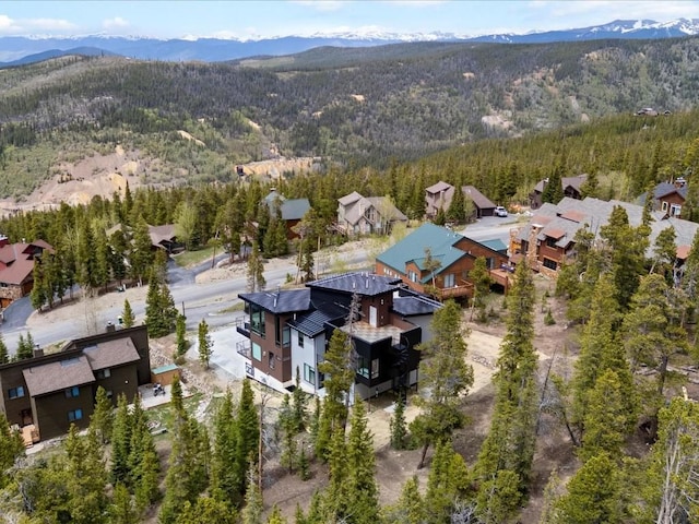 436 N Fuller Placer Rd Unit 38B, Breckenridge, CO 80424 - photo 45