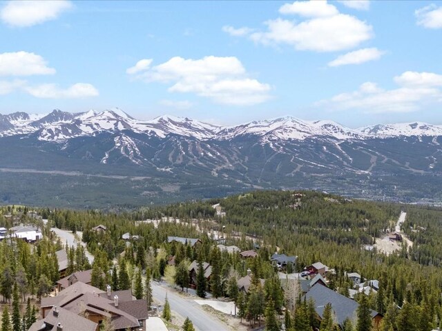 436 N Fuller Placer Rd Unit 38B, Breckenridge, CO 80424 - photo 46