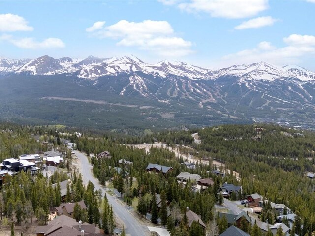 436 N Fuller Placer Rd Unit 38B, Breckenridge, CO 80424 - photo 47