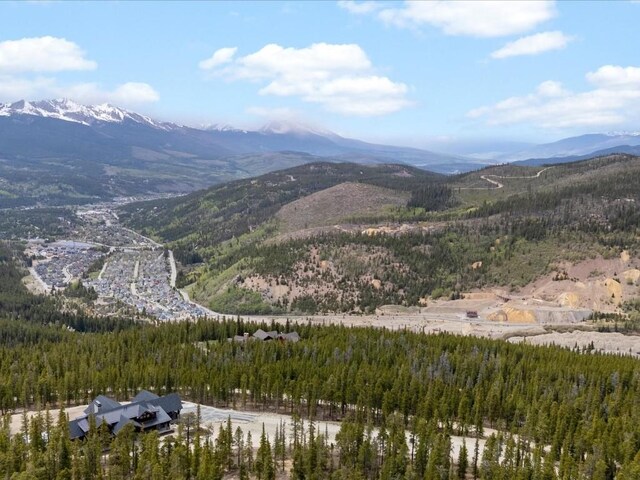 436 N Fuller Placer Rd Unit 38B, Breckenridge, CO 80424 - photo 48
