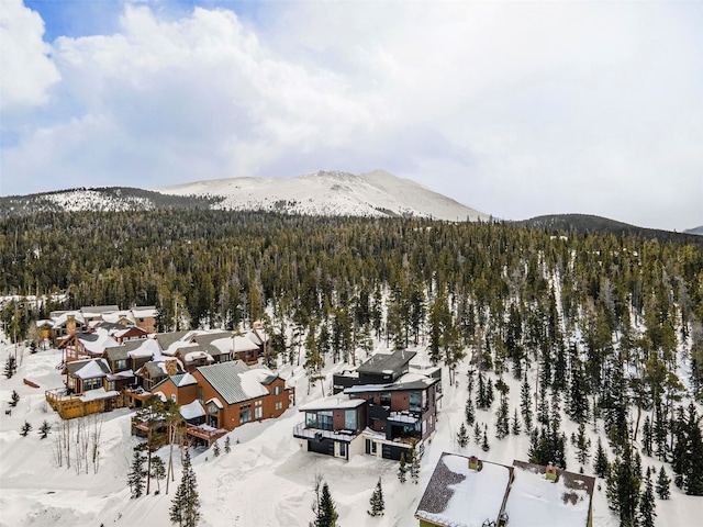 436 N Fuller Placer Rd Unit 38B, Breckenridge, CO 80424 - exterior space with a view of trees and a mountain view