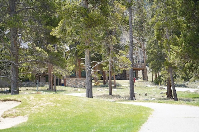 203 Gentian Rd, Keystone, CO 80435 - surrounding community featuring a yard