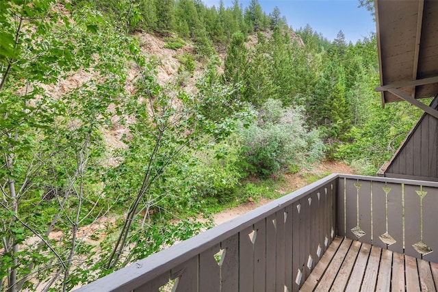 817 Valley View Dr, Georgetown, CO 80444 - photo 22