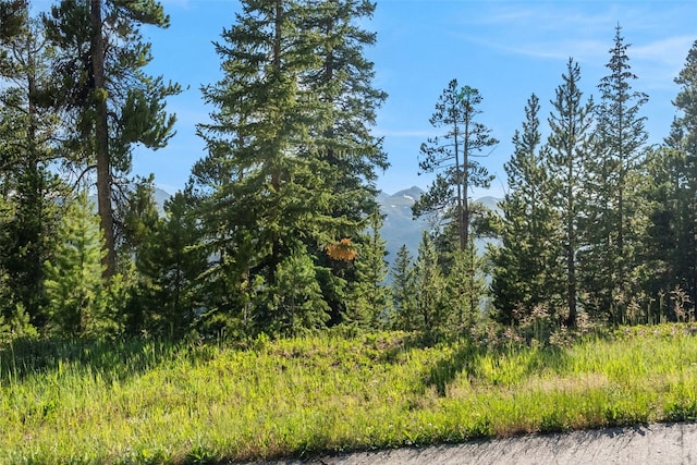 515 Miners View Rd, Breckenridge, CO 80424 - photo 24