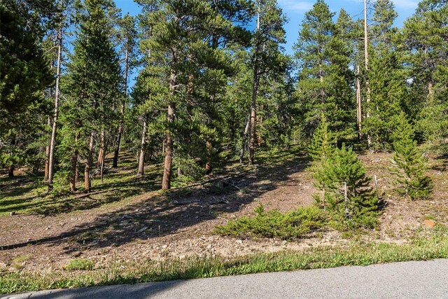 515 Miners View Rd, Breckenridge, CO 80424 - photo 16