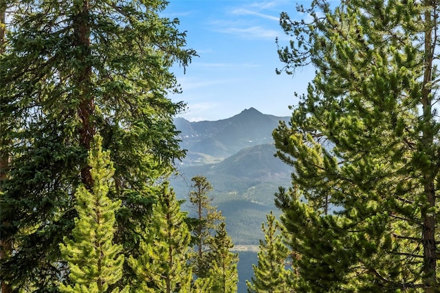 515 Miners View Rd, Breckenridge, CO 80424 - photo 20