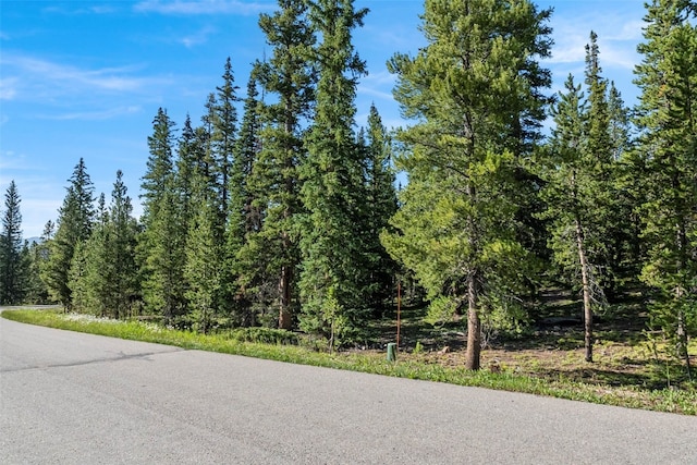 515 Miners View Rd, Breckenridge, CO 80424 - photo 17