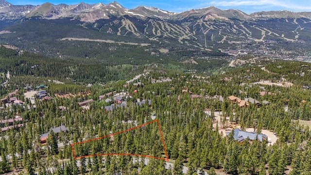 515 Miners View Rd, Breckenridge, CO 80424 - photo 7