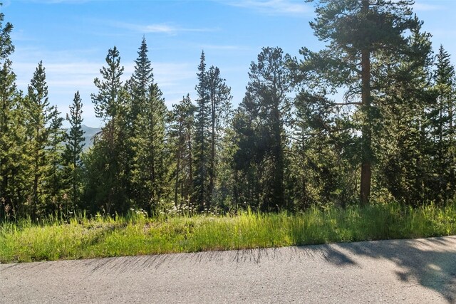 515 Miners View Rd, Breckenridge, CO 80424 - photo 8