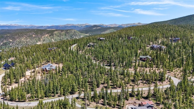 515 Miners View Rd, Breckenridge, CO 80424 - photo 19