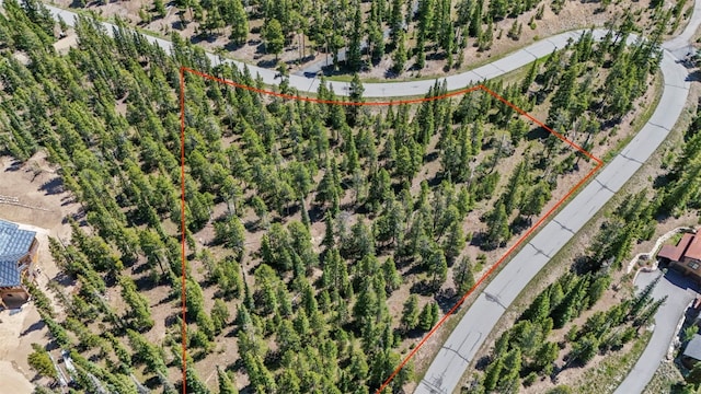 515 Miners View Rd, Breckenridge, CO 80424 - photo 9