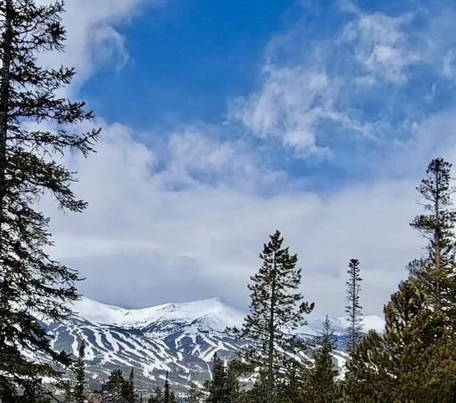 515 Miners View Rd, Breckenridge, CO 80424 - photo 5