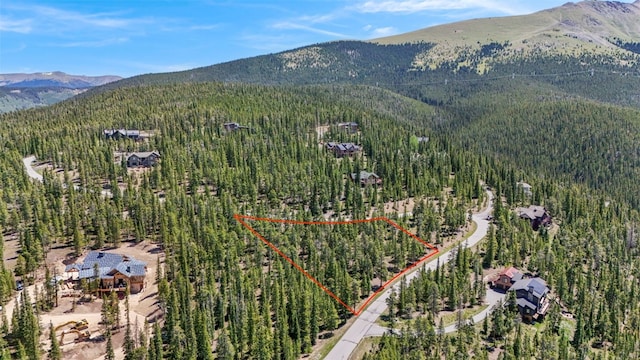 515 Miners View Rd, Breckenridge, CO 80424 - photo 25