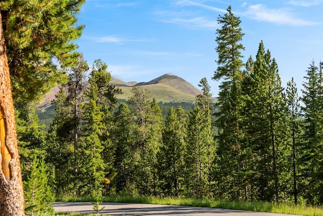 515 Miners View Rd, Breckenridge, CO 80424 - photo 21