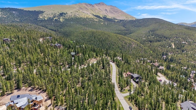 515 Miners View Rd, Breckenridge, CO 80424 - photo 27