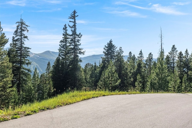 515 Miners View Rd, Breckenridge, CO 80424 - photo 15