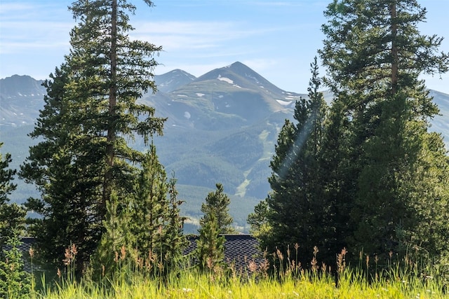 515 Miners View Rd, Breckenridge, CO 80424 - photo 3