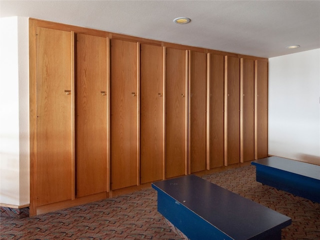22804 US Highway 6 Unit 102, Keystone, CO 80435 - basement featuring carpet and recessed lighting