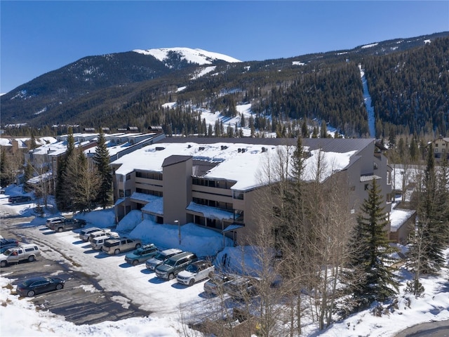 view of mountain feature