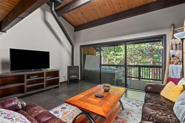 2583 Apres Ski Way Unit 4, Steamboat Springs, CO 80487 - living room with a wood stove, wood ceiling, and wood finished floors