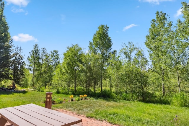 4612 Ryan Gulch Rd Unit 4612, Silverthorne, CO 80498 - view of grassy yard featuring a view of trees
