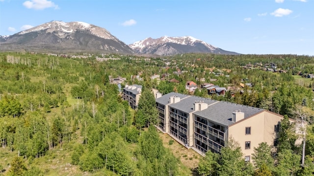 4612 Ryan Gulch Rd Unit 4612, Silverthorne, CO 80498 - view of mountain backdrop featuring a heavily wooded area