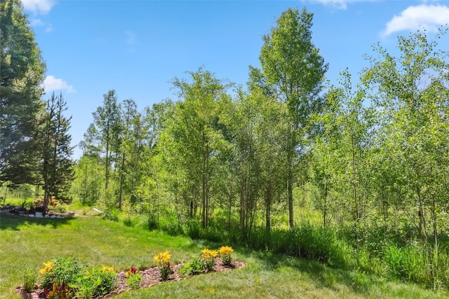 4612 Ryan Gulch Rd Unit 4612, Silverthorne, CO 80498 - view of tree filled area