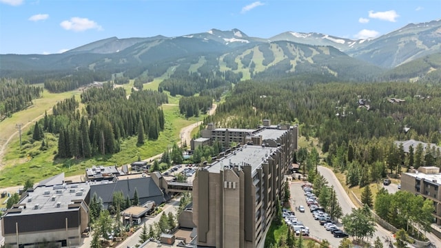 631 Village Rd Unit 34330, Breckenridge, CO 80424 - view of mountain backdrop featuring a forest