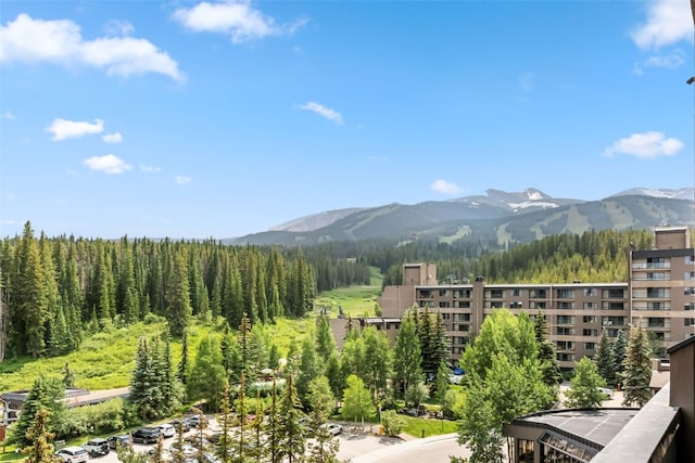 631 Village Rd Unit 34330, Breckenridge, CO 80424 - view of mountain backdrop featuring a forest
