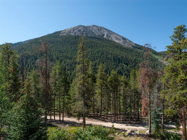 12715 E State Highway 82, Twin Lakes, CO 81251 - view of mountain backdrop with a forest