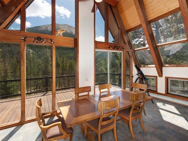 12715 E State Highway 82, Twin Lakes, CO 81251 - sunroom featuring a mountain view, stone finish floors, high vaulted ceiling, and wood ceiling with exposed beams