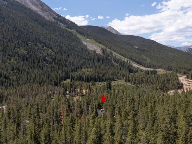 12715 E State Highway 82, Twin Lakes, CO 81251 - view of mountain backdrop with a forest