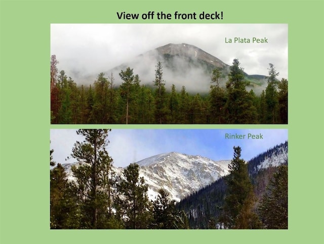 12715 E State Highway 82, Twin Lakes, CO 81251 - view of a document with multiple images