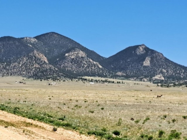 000 Montoya Ln, Hartsel, CO 80449