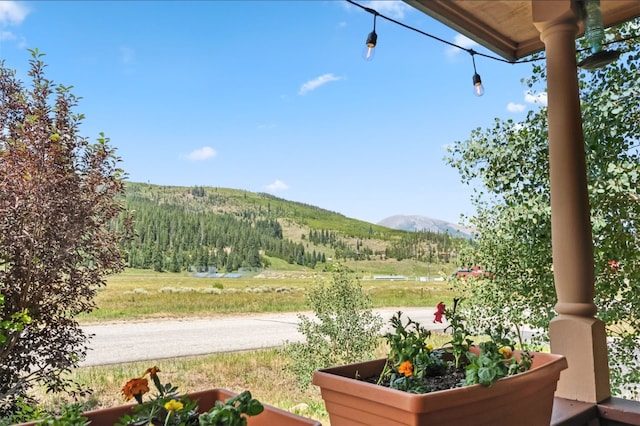 105 Alpensee Dr, Breckenridge, CO 80424 - photo 28