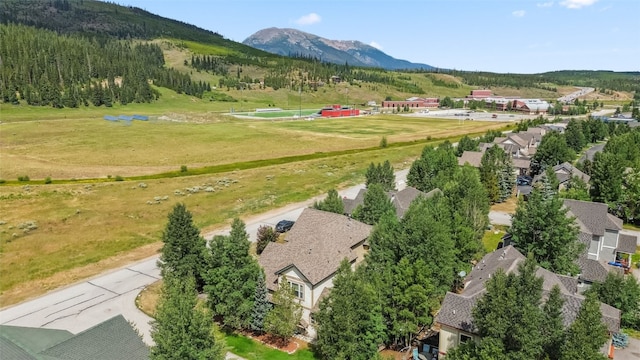 105 Alpensee Dr, Breckenridge, CO 80424 - photo 30
