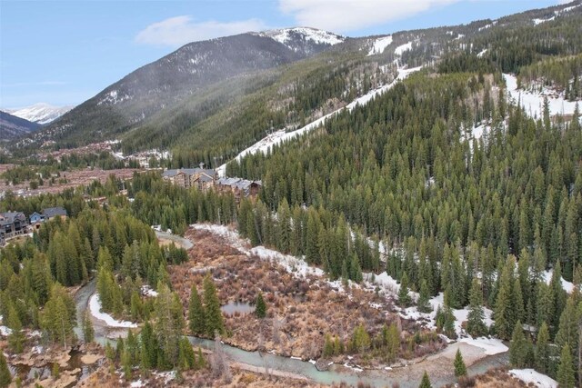 224 Trailhead Dr Unit 3075, Keystone, CO 80435 - property view of mountains featuring a forest view