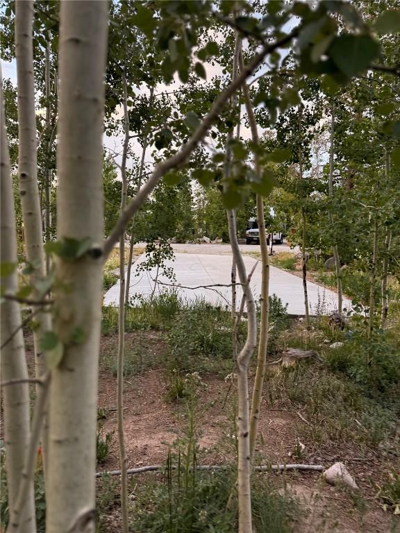 228 Sunshine Loop, Fairplay, CO 80440