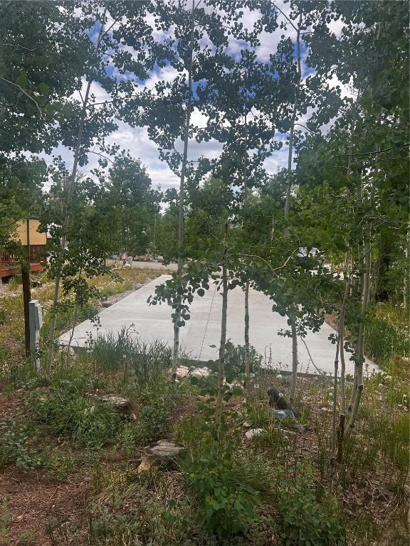 228 Sunshine Loop, Fairplay, CO 80440