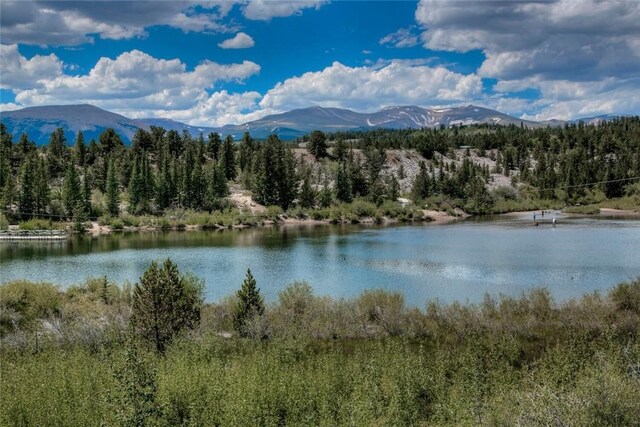 228 Sunshine Loop, Fairplay, CO 80440