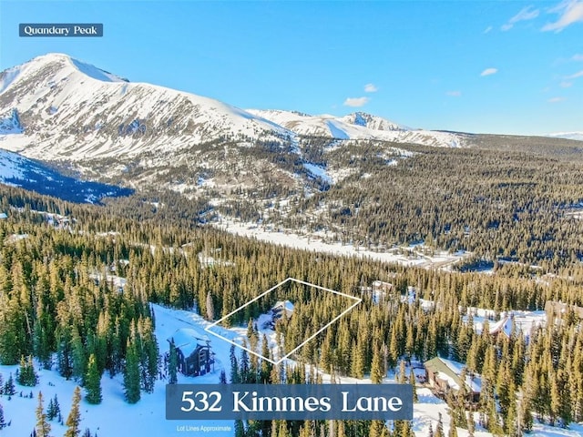 532 Kimmes Ln, Breckenridge, CO 80424 - view of mountain backdrop with a forest