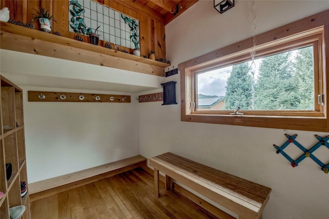 196 Vail Cir, Dillon, CO 80435 - mudroom featuring plenty of natural light and wood finished floors