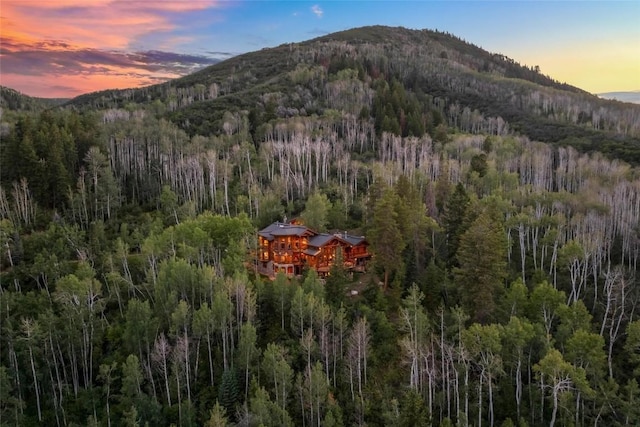 27800 Wapiti Way, Steamboat Springs, CO 80487 - view of mountain background featuring a heavily wooded area