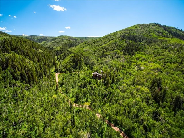 27800 Wapiti Way, Steamboat Springs, CO 80487 - view of mountain background with a forest