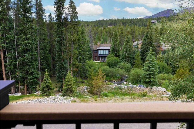 100 River Park Dr Unit 100A, Breckenridge, CO 80424 - photo 2