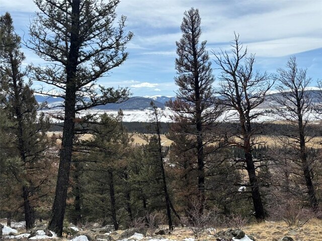 00 Bonell Dr, Fairplay, CO 80440 - photo 1
