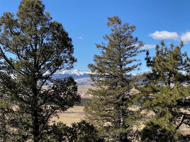 1411 Middle Fork Vis, Fairplay, CO 80440