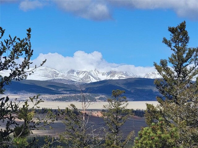 1411 Middle Fork Vis, Fairplay, CO 80440