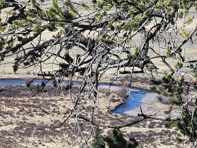 1411 Middle Fork Vis, Fairplay, CO 80440